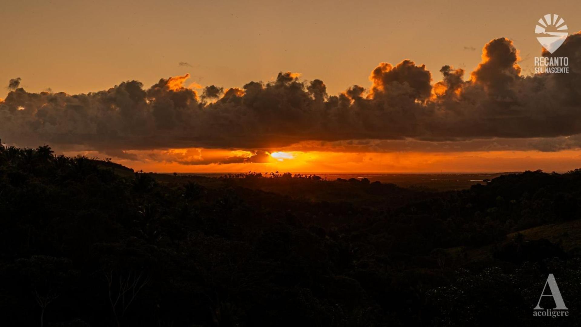 Hotel Pousada Recanto Sol Nascente, Luxo E Proximidade Com A Natureza Rio Formoso Exteriér fotografie
