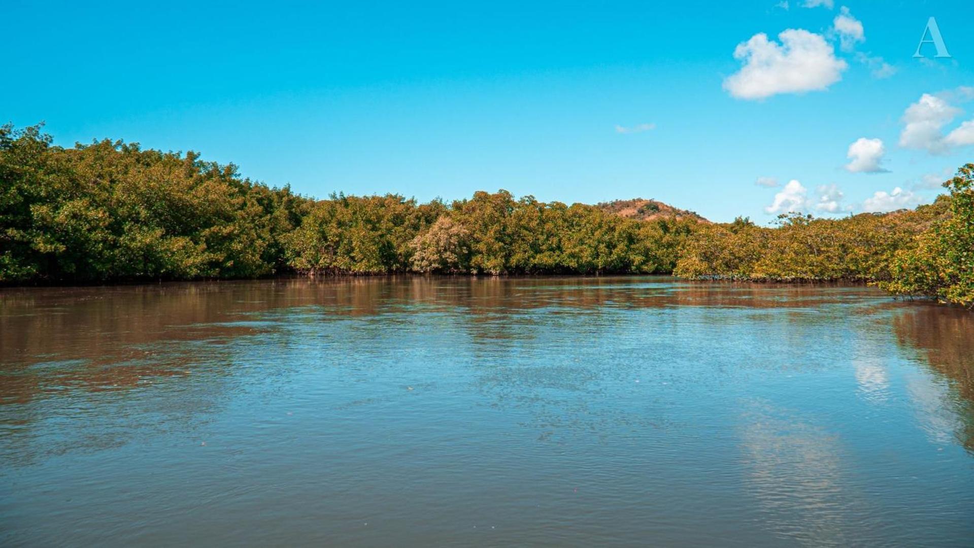 Hotel Pousada Recanto Sol Nascente, Luxo E Proximidade Com A Natureza Rio Formoso Exteriér fotografie