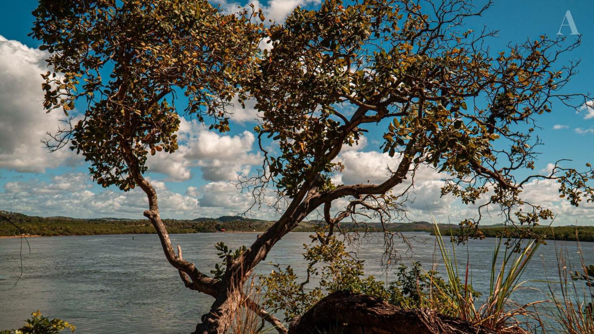 Hotel Pousada Recanto Sol Nascente, Luxo E Proximidade Com A Natureza Rio Formoso Exteriér fotografie