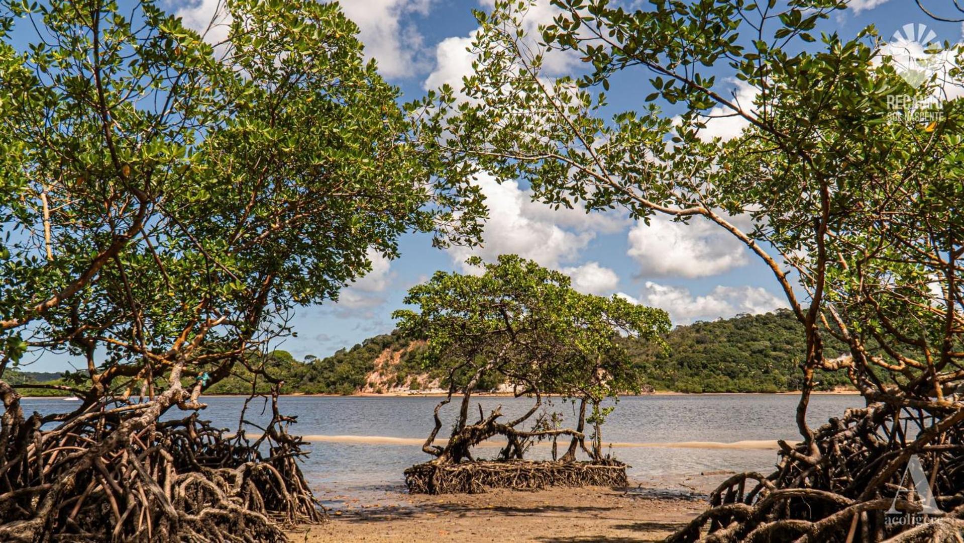 Hotel Pousada Recanto Sol Nascente, Luxo E Proximidade Com A Natureza Rio Formoso Exteriér fotografie