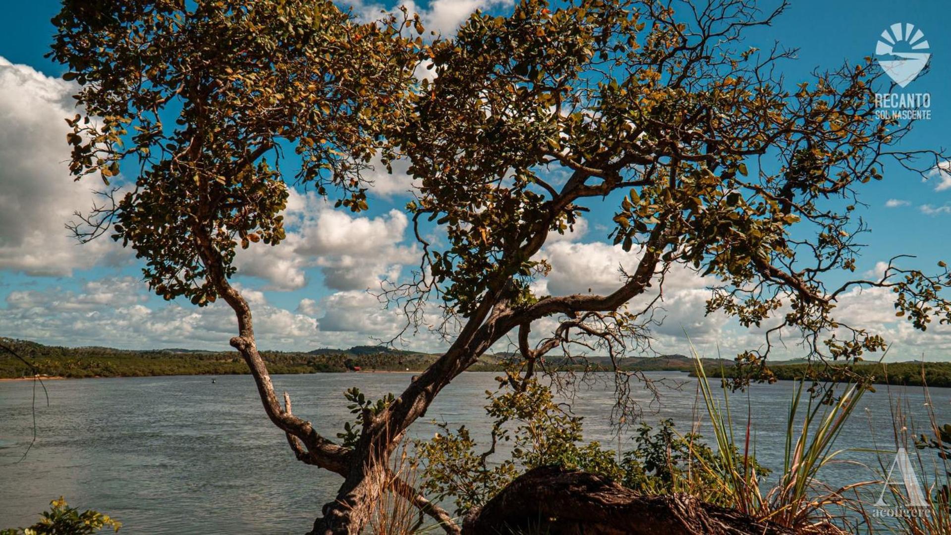 Hotel Pousada Recanto Sol Nascente, Luxo E Proximidade Com A Natureza Rio Formoso Exteriér fotografie